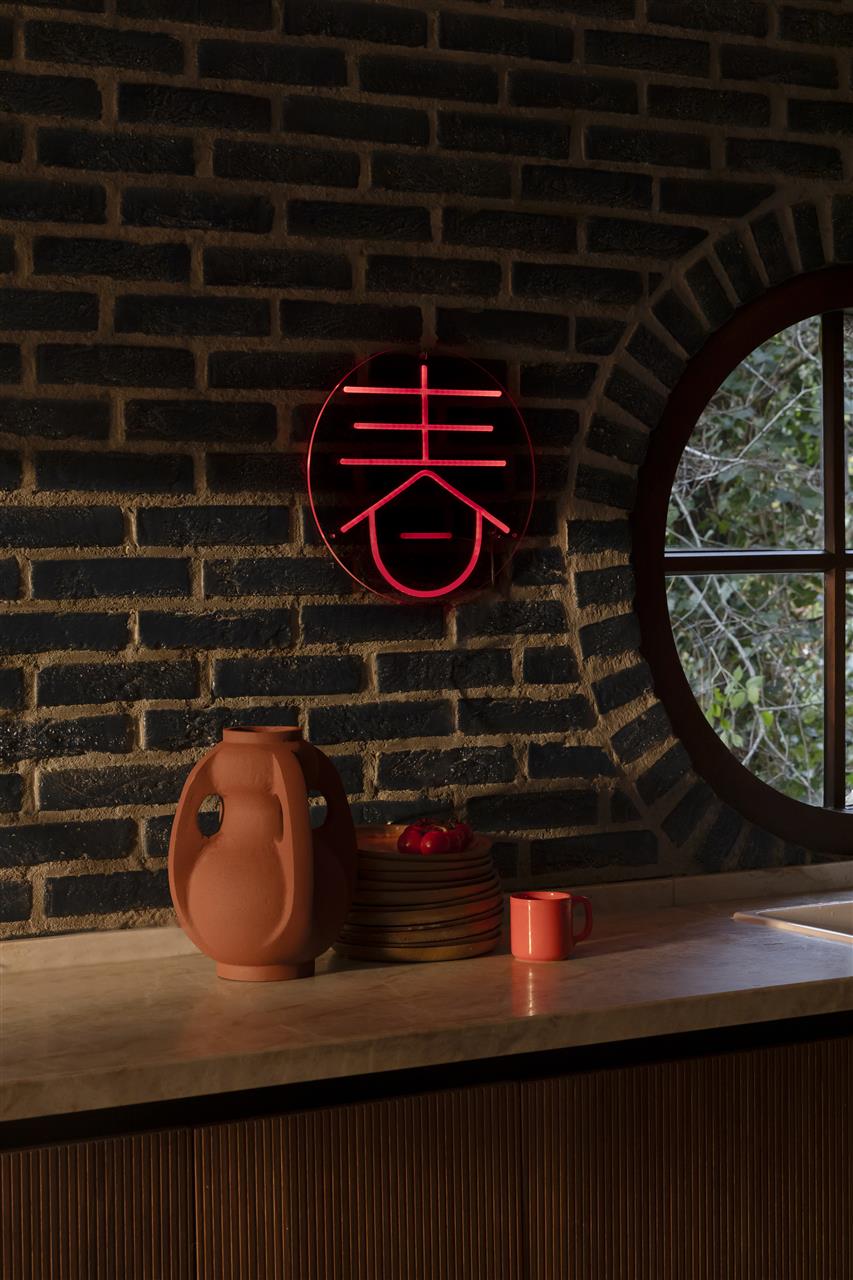 DutchBone - Thiago vaas M Terra